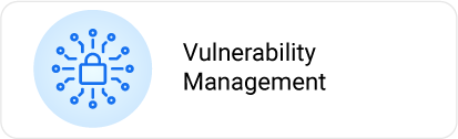Vulnerability Management